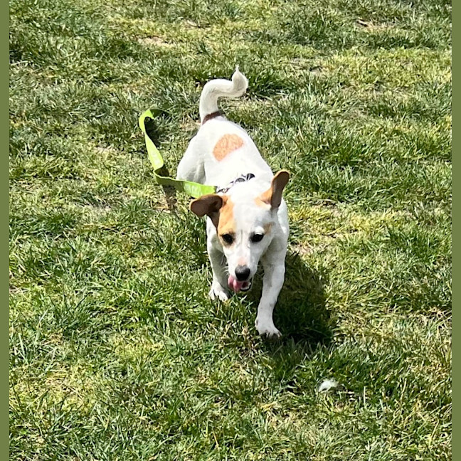 Photo of Missy