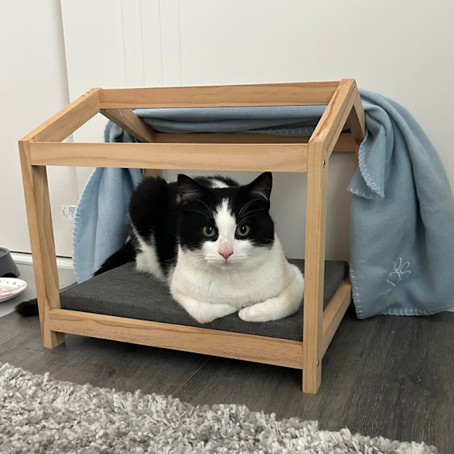 Photo of Moo