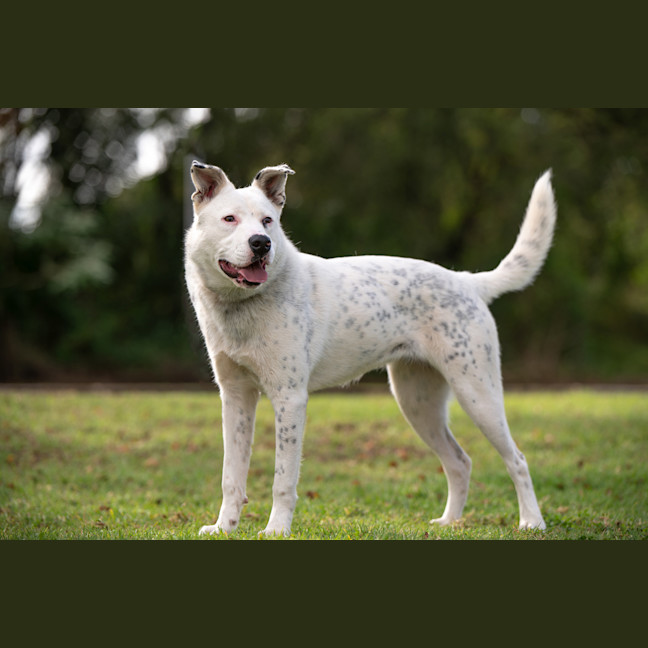 Photo of Breeze