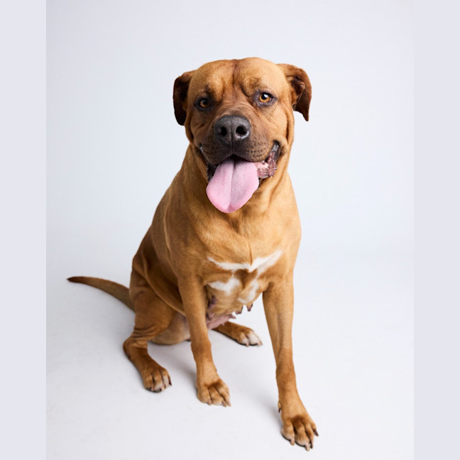 Photo of Zuri