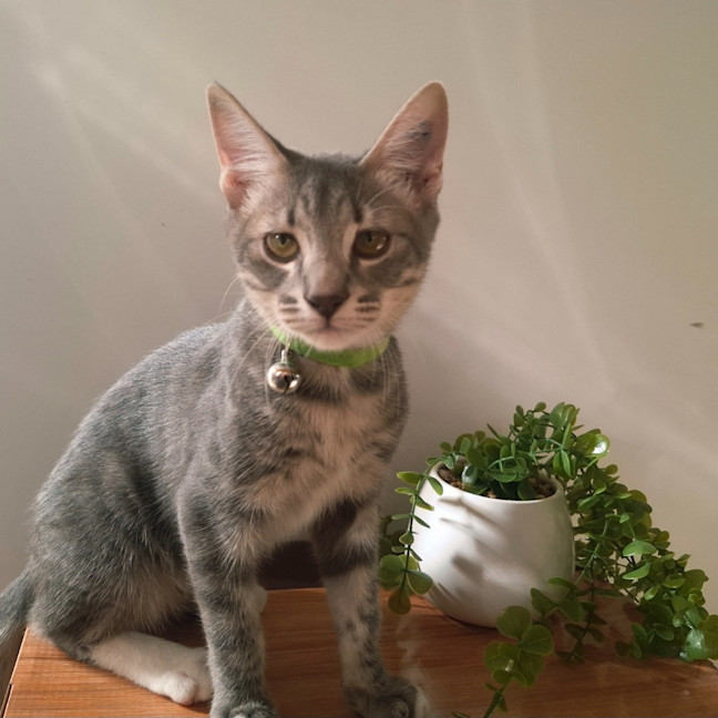 Photo of Leif