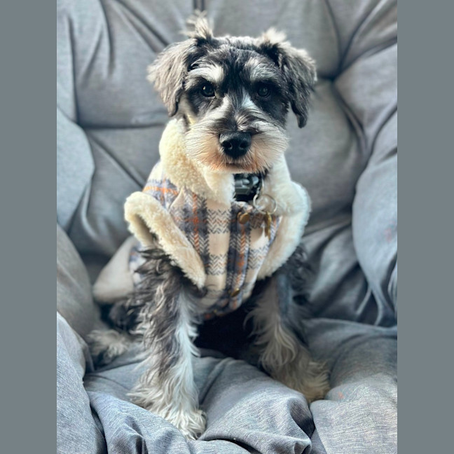 Photo of Tizzee