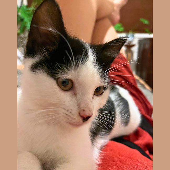 Photo of Niles