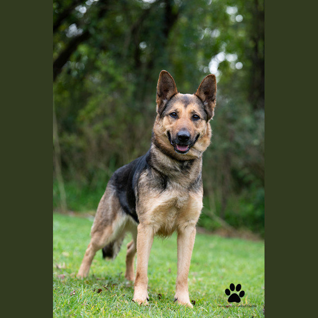 Photo of Sasha