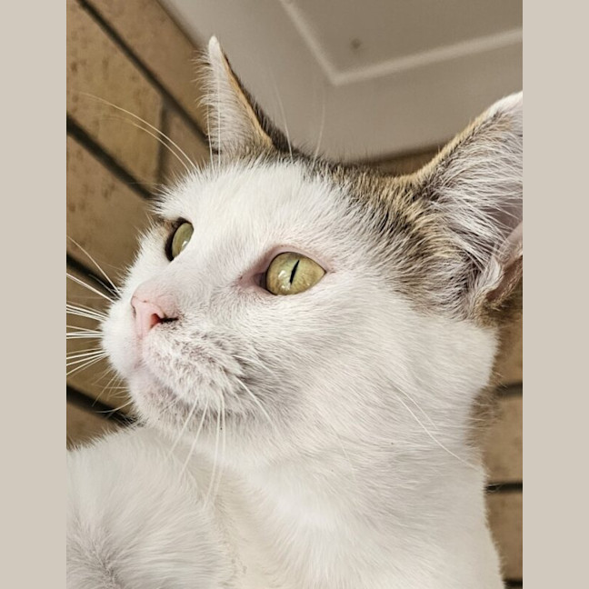 Photo of Hazel