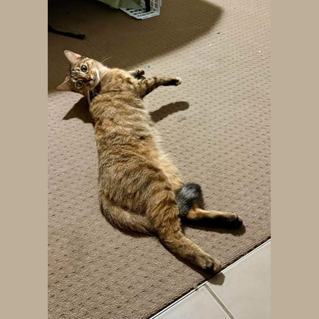 Photo of Arya