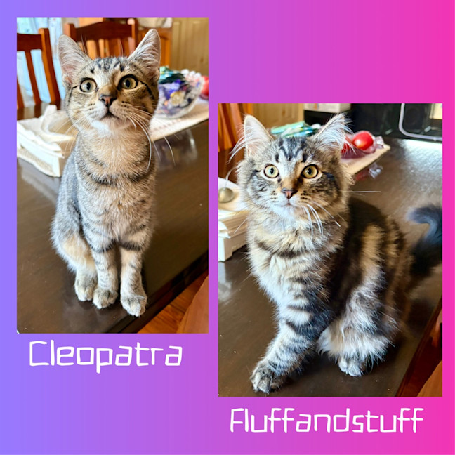 Photo of Cleopatra