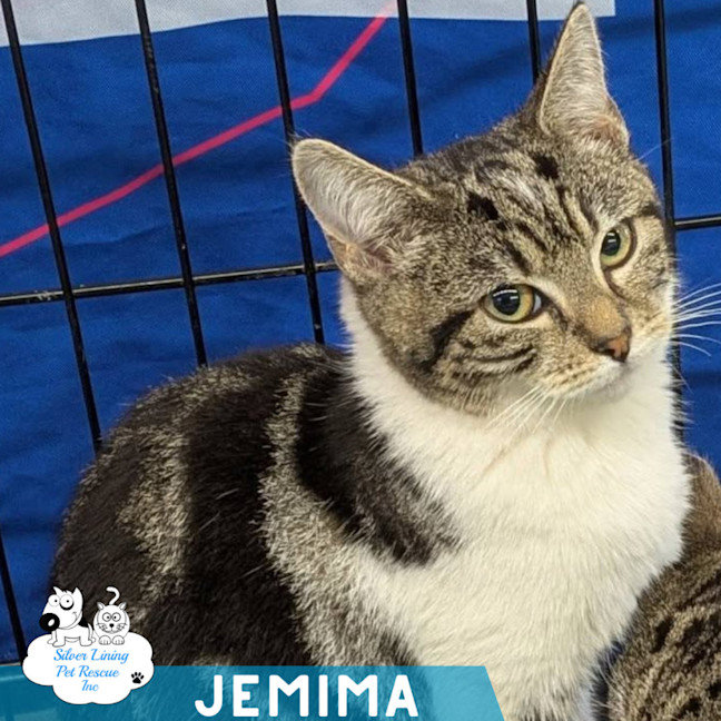 Photo of Jemima