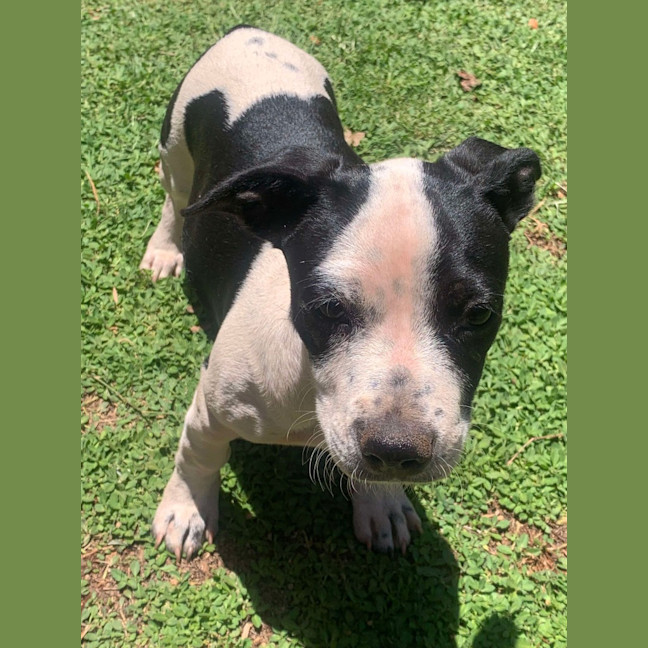 Photo of Milly