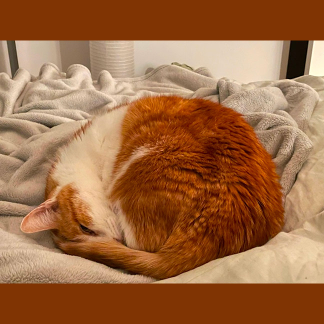 Photo of Bubbles
