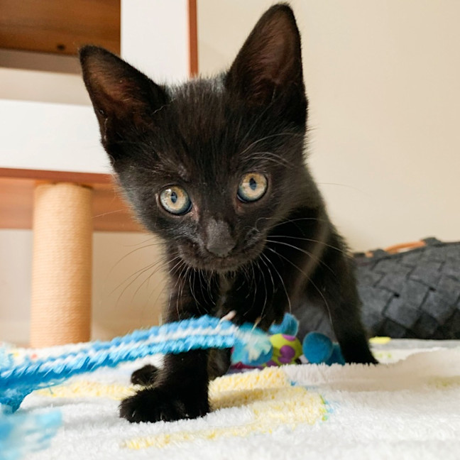 Photo of 🥰 Davis 🥰