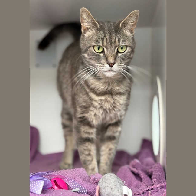 Photo of Molly