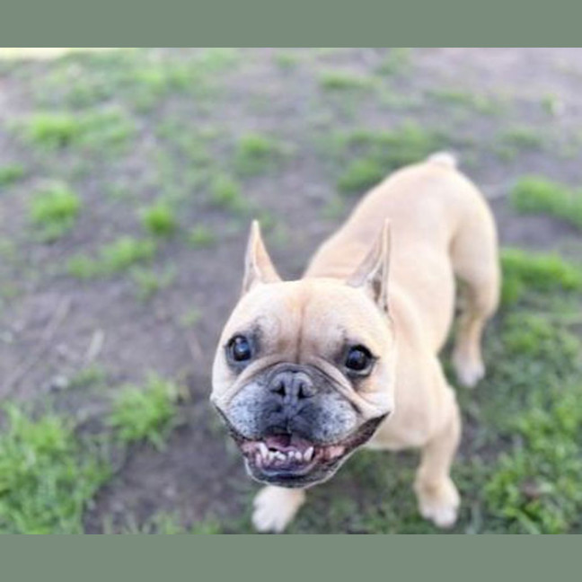 Photo of Melvin