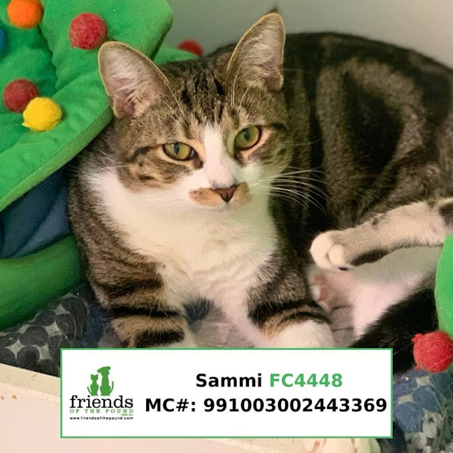 Photo of Skye And Brother Sammi