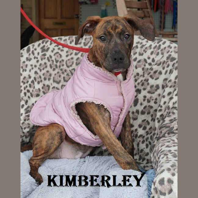 Photo of Kimberley