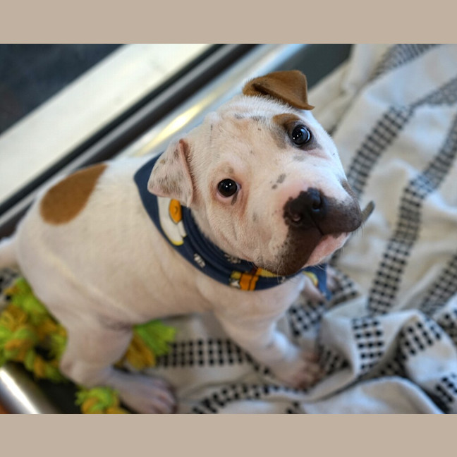 Photo of Mario