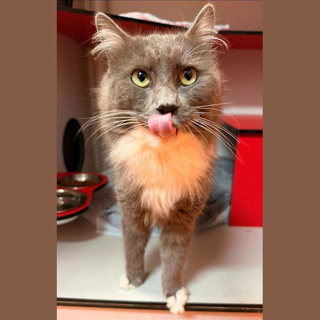 Photo of Lord Beans