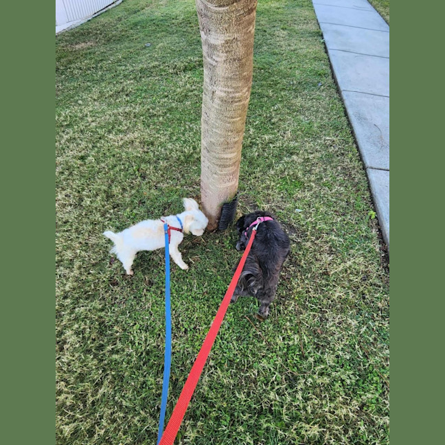 Photo of Cinder And Aj 