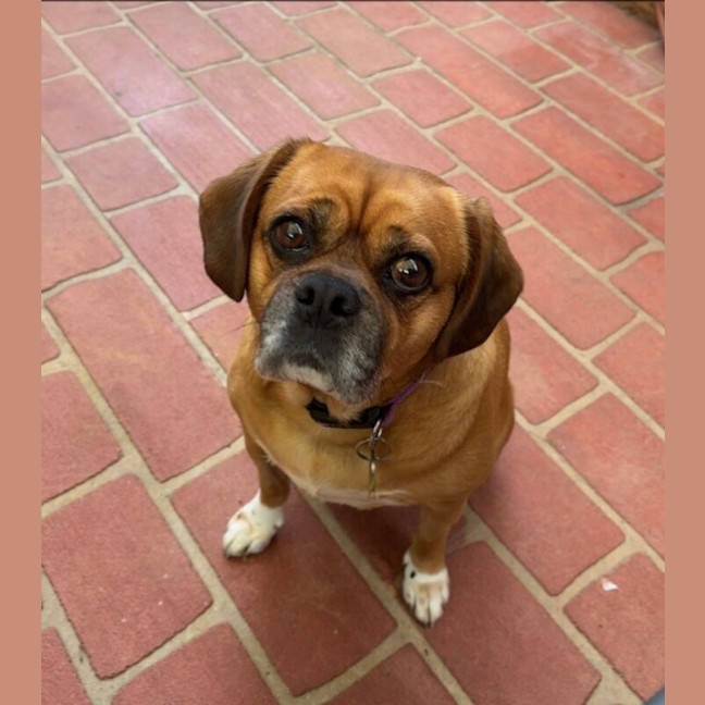 Photo of Bentley
