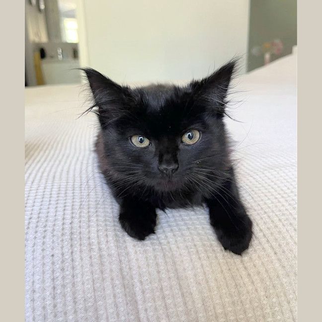 Photo of 💨Alcatraz💨