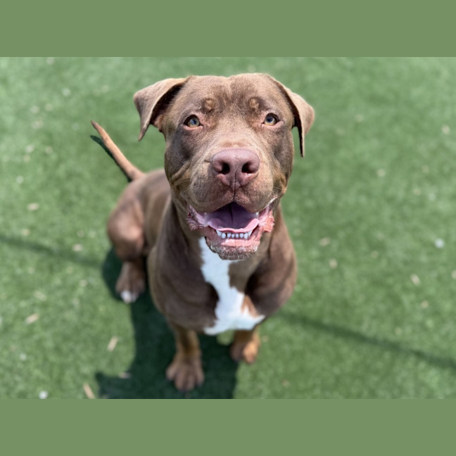 Photo of Phil Imp 23