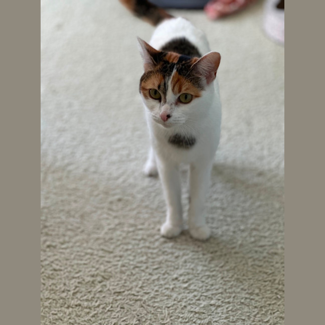 Photo of Millie