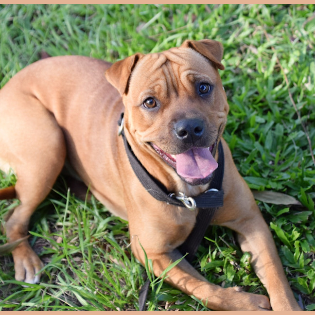 Photo of Lucy