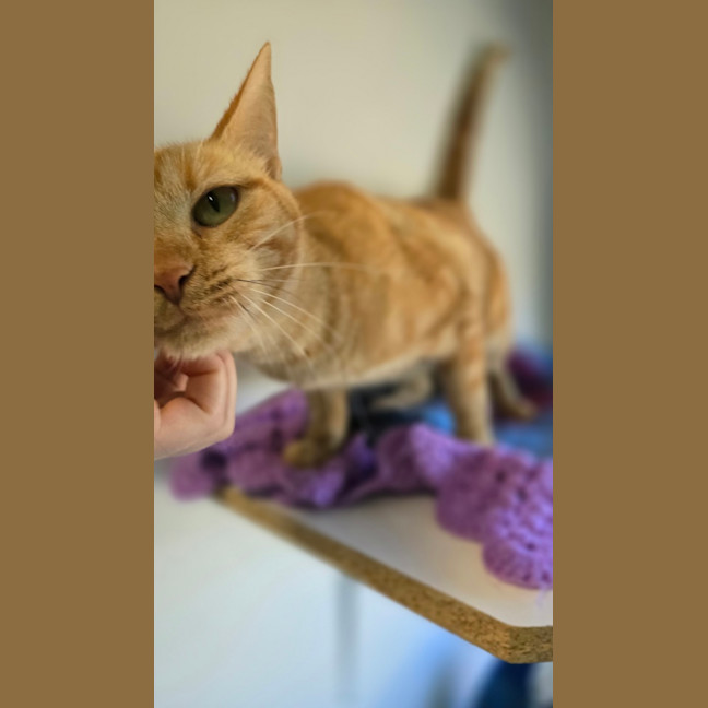 Photo of Moirai
