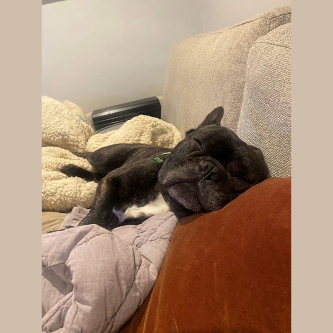 Photo of Vintage Wensleydale