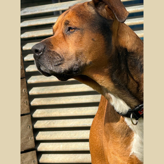 Photo of Zeke