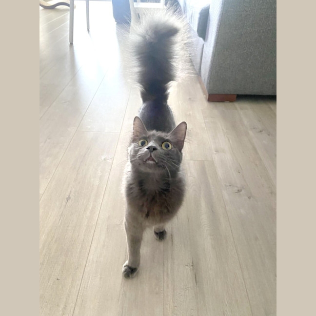 Photo of 💙 Blu 💙