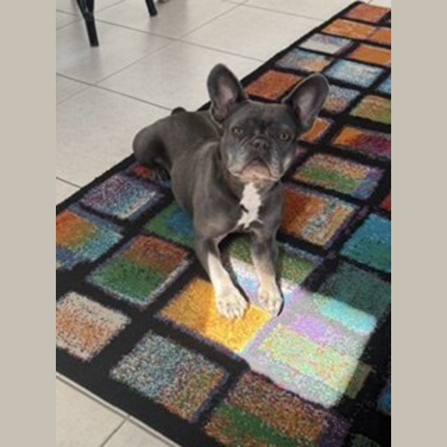 Photo of Ella