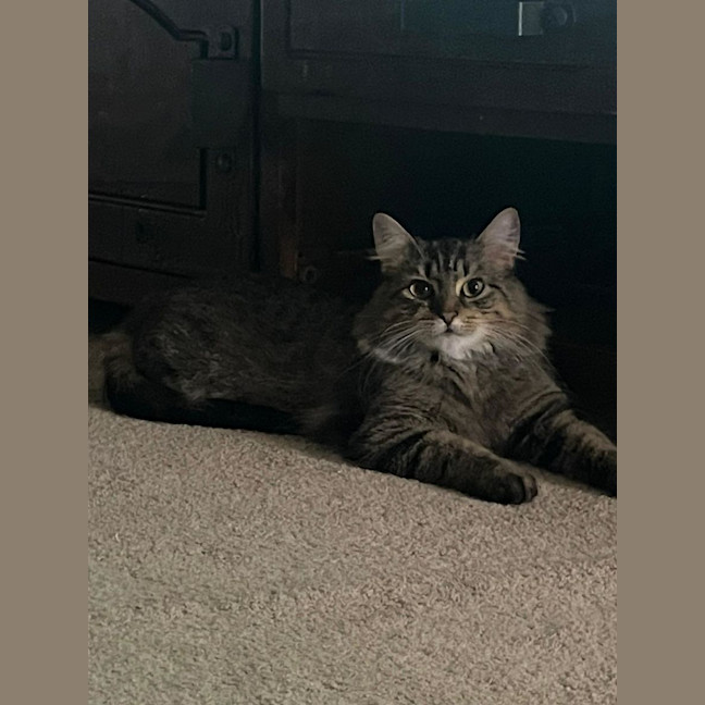 Photo of Ellie & Munchie