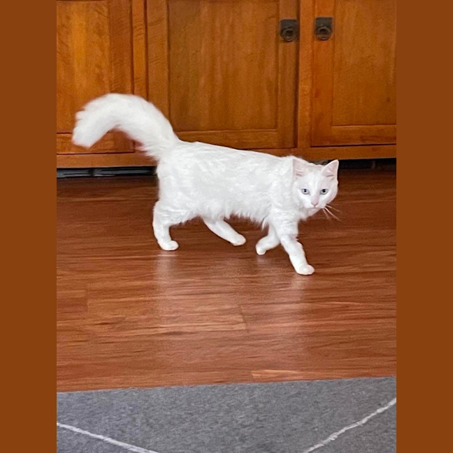 Photo of Elsa