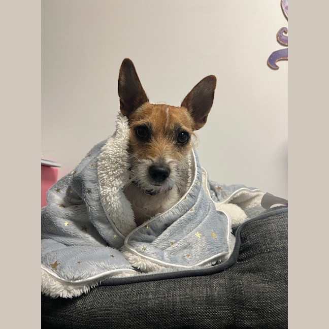 Photo of Murphy