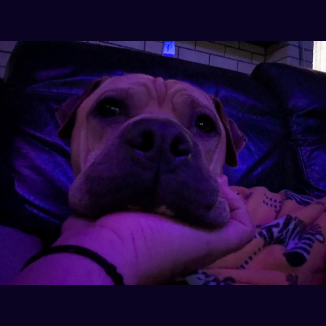 Photo of Spunk