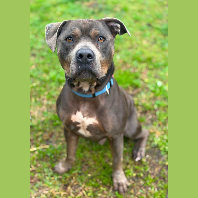 Photo of Bud