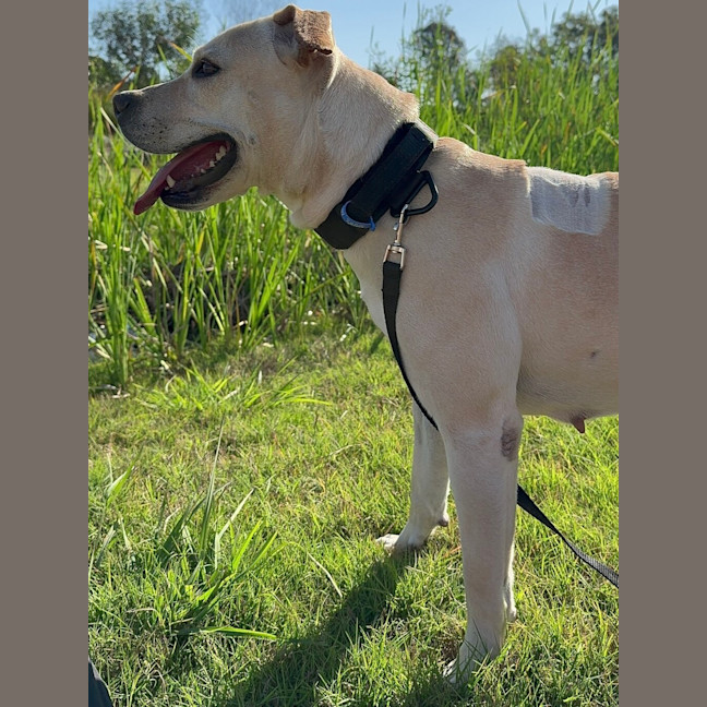 Photo of Lucy