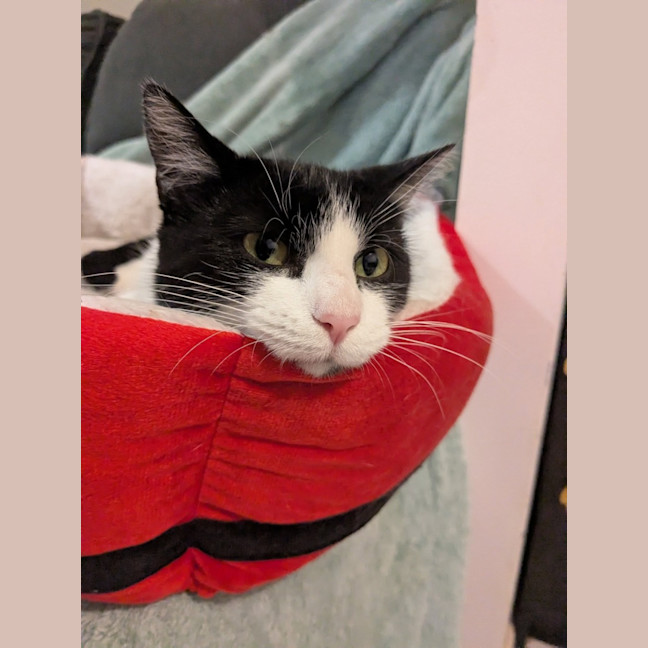 Photo of Mitzi