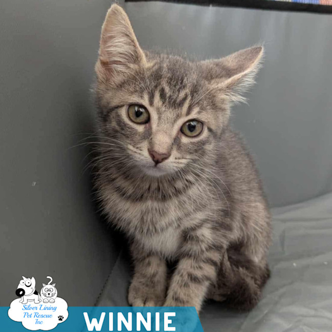 Photo of Winnie