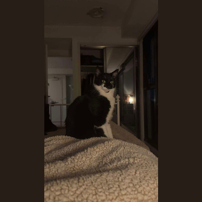 Photo of Pepper