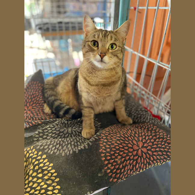 Photo of Robbie. Sweet Little Guy <3