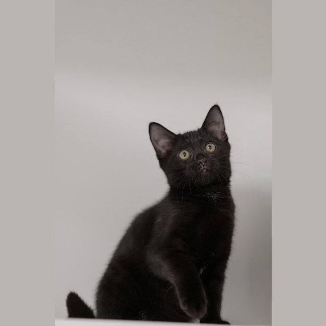 Photo of Herb