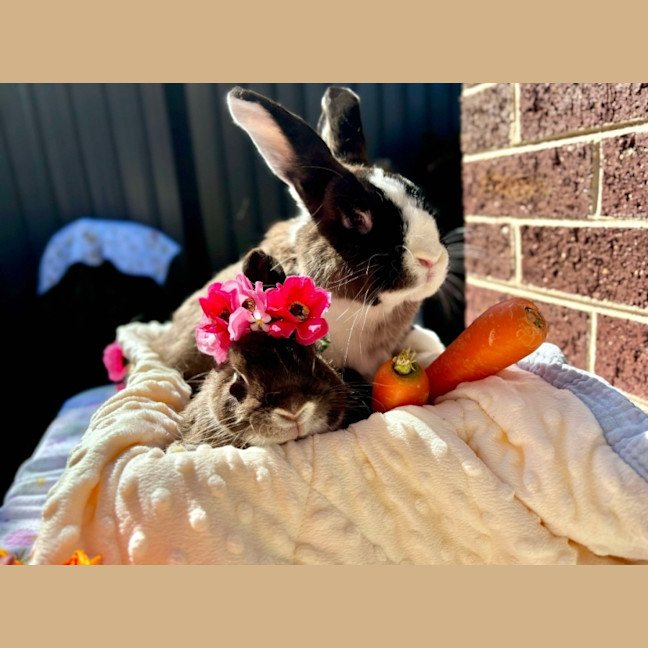 Photo of Bunbun And Lil Man
