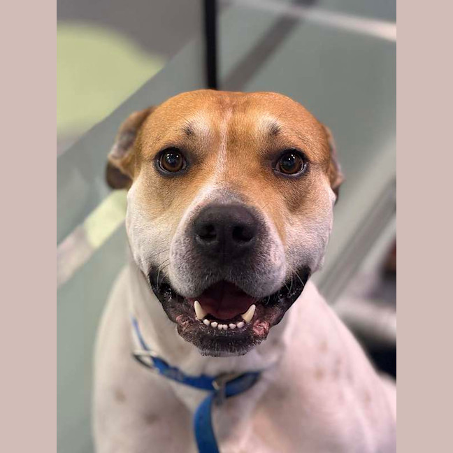 Photo of Ernie