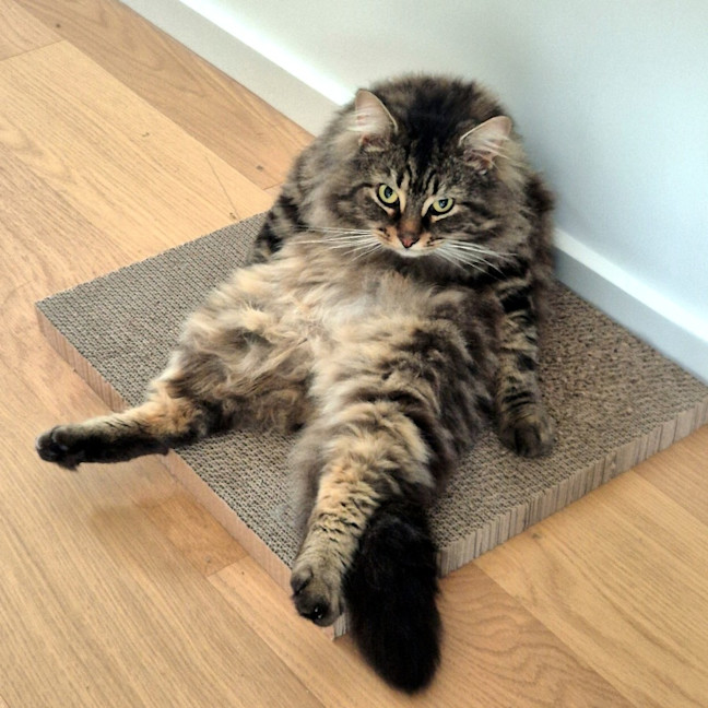 Photo of Monty Rsta012765