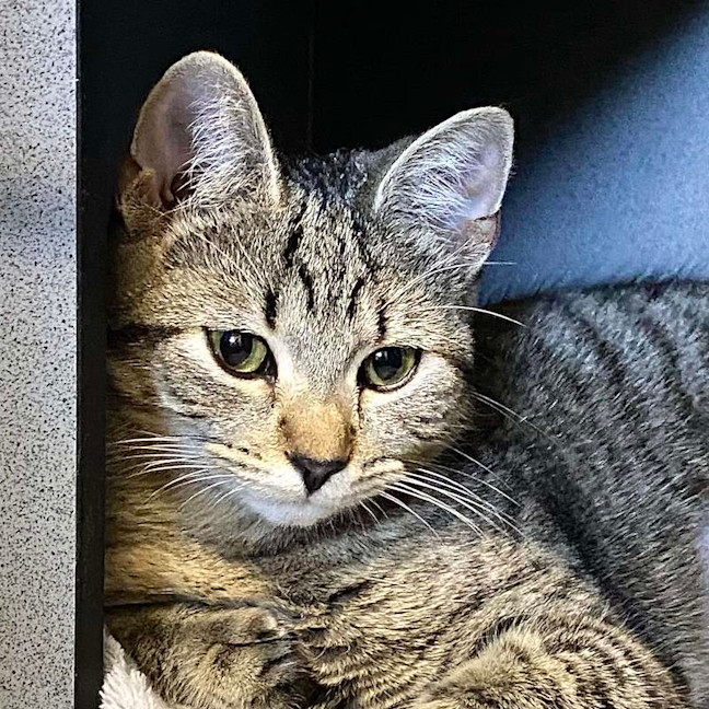 Photo of Lucy