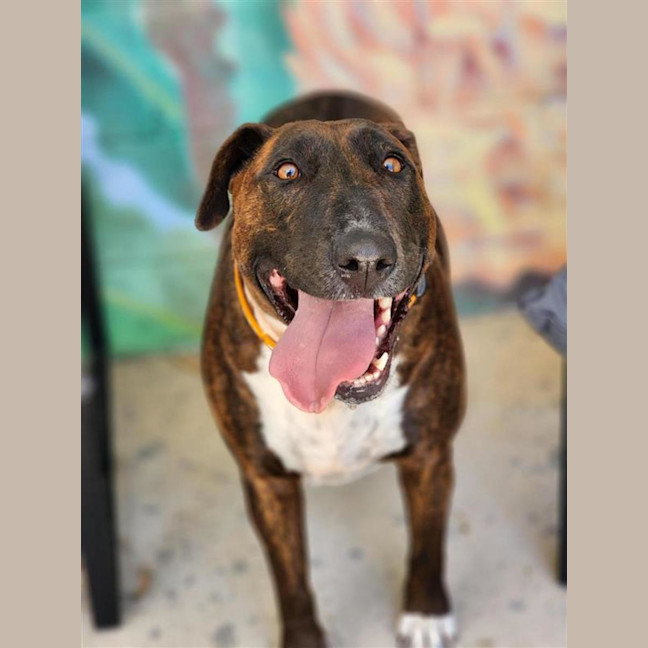 Photo of 🦆 Ducky 6839 🦆