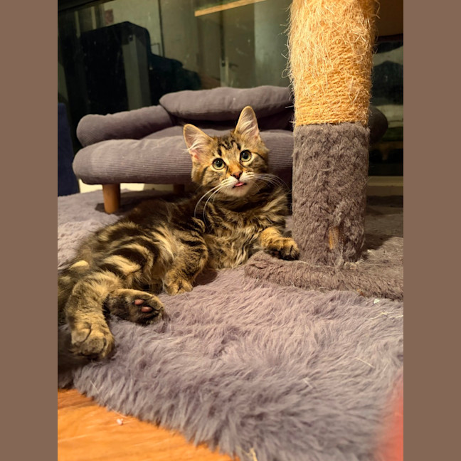 Photo of Friday & Woody