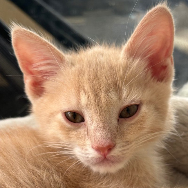 Photo of Quincy